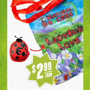 Ladybug Love Pouch