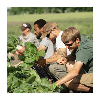 Rodale Institute Farmer Training (RIFT) Students working on a farm