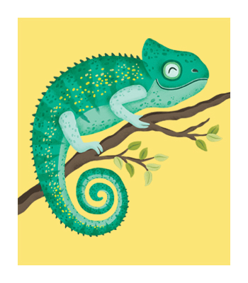 Chloe the Chameleon
