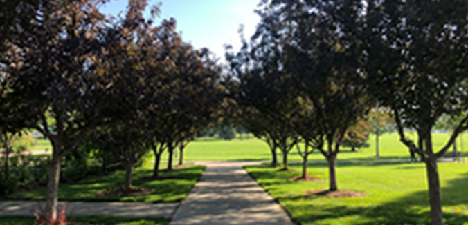Roosevelt Park
