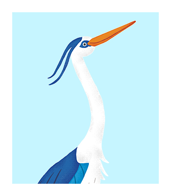 Hazel the Heron