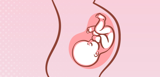 Prenatal Nutrition